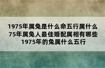 1975年属兔是什么命五行属什么 75年属兔人最佳婚配属相有哪些 1975年的兔属什么五行